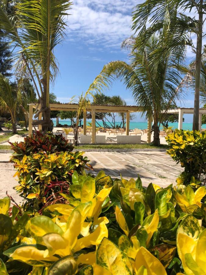 Jambo Beach Hotel Paje Luaran gambar
